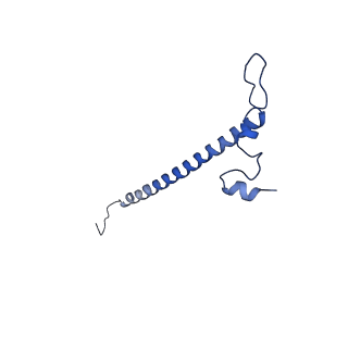 11279_6zm6_j_v1-1
Human mitochondrial ribosome in complex with mRNA, A/A tRNA and P/P tRNA