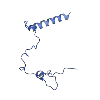 11279_6zm6_l_v1-1
Human mitochondrial ribosome in complex with mRNA, A/A tRNA and P/P tRNA