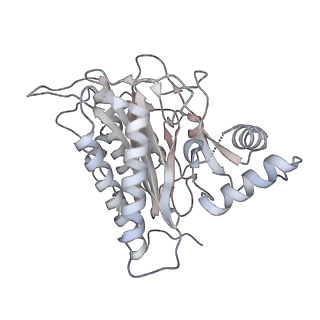 11288_6zm7_CA_v1-1
SARS-CoV-2 Nsp1 bound to the human CCDC124-80S-EBP1 ribosome complex