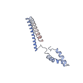 11288_6zm7_CE_v1-1
SARS-CoV-2 Nsp1 bound to the human CCDC124-80S-EBP1 ribosome complex