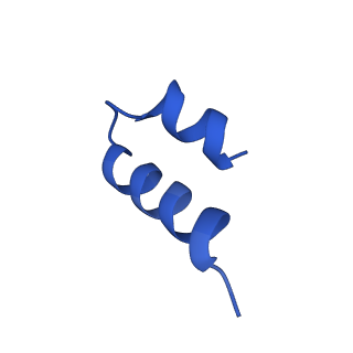 11288_6zm7_CF_v1-1
SARS-CoV-2 Nsp1 bound to the human CCDC124-80S-EBP1 ribosome complex