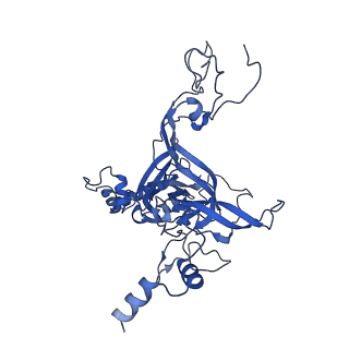 11288_6zm7_LB_v1-1
SARS-CoV-2 Nsp1 bound to the human CCDC124-80S-EBP1 ribosome complex