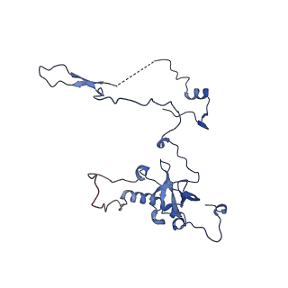 11288_6zm7_LE_v1-1
SARS-CoV-2 Nsp1 bound to the human CCDC124-80S-EBP1 ribosome complex