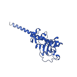 11288_6zm7_LF_v1-1
SARS-CoV-2 Nsp1 bound to the human CCDC124-80S-EBP1 ribosome complex