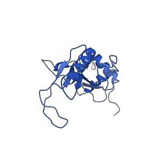 11288_6zm7_LJ_v1-1
SARS-CoV-2 Nsp1 bound to the human CCDC124-80S-EBP1 ribosome complex