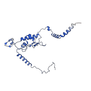 11288_6zm7_LL_v1-1
SARS-CoV-2 Nsp1 bound to the human CCDC124-80S-EBP1 ribosome complex