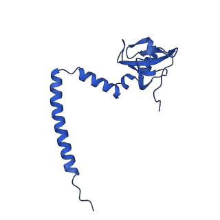 11288_6zm7_LM_v1-1
SARS-CoV-2 Nsp1 bound to the human CCDC124-80S-EBP1 ribosome complex