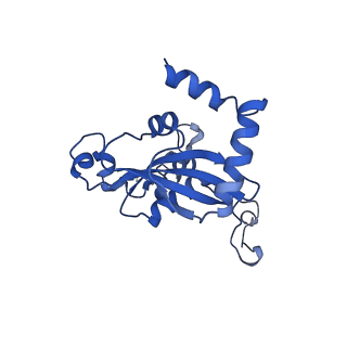11288_6zm7_LN_v1-1
SARS-CoV-2 Nsp1 bound to the human CCDC124-80S-EBP1 ribosome complex