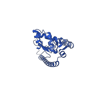 11288_6zm7_LO_v1-1
SARS-CoV-2 Nsp1 bound to the human CCDC124-80S-EBP1 ribosome complex