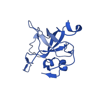 11288_6zm7_LV_v1-1
SARS-CoV-2 Nsp1 bound to the human CCDC124-80S-EBP1 ribosome complex