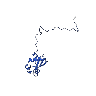 11288_6zm7_LX_v1-1
SARS-CoV-2 Nsp1 bound to the human CCDC124-80S-EBP1 ribosome complex