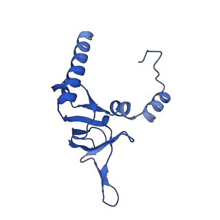 11288_6zm7_LY_v1-1
SARS-CoV-2 Nsp1 bound to the human CCDC124-80S-EBP1 ribosome complex