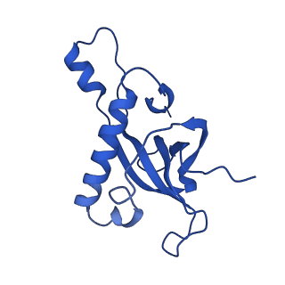11288_6zm7_LZ_v1-1
SARS-CoV-2 Nsp1 bound to the human CCDC124-80S-EBP1 ribosome complex