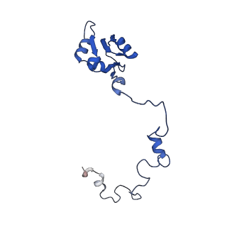11288_6zm7_La_v1-1
SARS-CoV-2 Nsp1 bound to the human CCDC124-80S-EBP1 ribosome complex