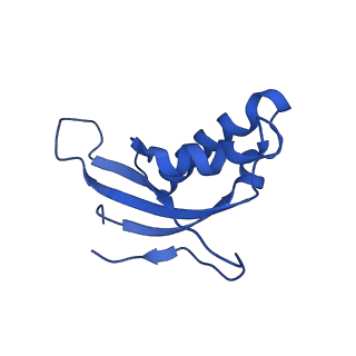 11288_6zm7_Ld_v1-1
SARS-CoV-2 Nsp1 bound to the human CCDC124-80S-EBP1 ribosome complex