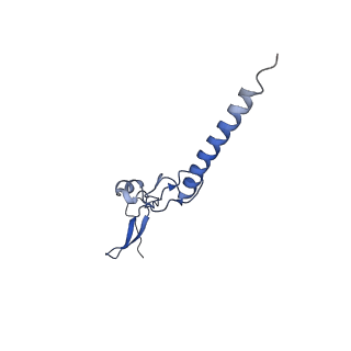 11288_6zm7_Lg_v1-1
SARS-CoV-2 Nsp1 bound to the human CCDC124-80S-EBP1 ribosome complex