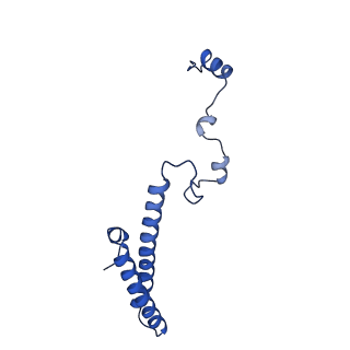 11288_6zm7_Lh_v1-1
SARS-CoV-2 Nsp1 bound to the human CCDC124-80S-EBP1 ribosome complex