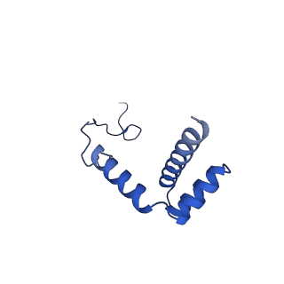 11288_6zm7_Li_v1-1
SARS-CoV-2 Nsp1 bound to the human CCDC124-80S-EBP1 ribosome complex