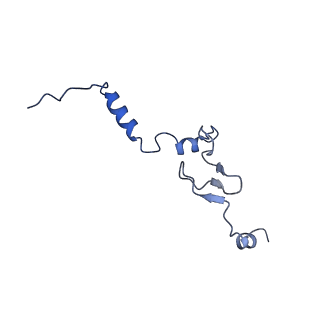 11288_6zm7_Lj_v1-1
SARS-CoV-2 Nsp1 bound to the human CCDC124-80S-EBP1 ribosome complex