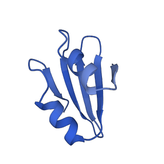 11288_6zm7_Lk_v1-1
SARS-CoV-2 Nsp1 bound to the human CCDC124-80S-EBP1 ribosome complex