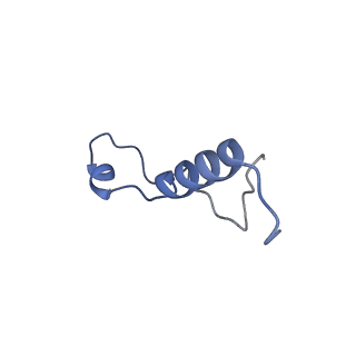 11288_6zm7_Ll_v1-1
SARS-CoV-2 Nsp1 bound to the human CCDC124-80S-EBP1 ribosome complex