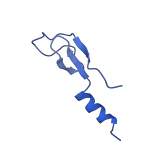 11288_6zm7_Lm_v1-1
SARS-CoV-2 Nsp1 bound to the human CCDC124-80S-EBP1 ribosome complex