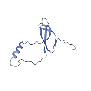11288_6zm7_Lo_v1-1
SARS-CoV-2 Nsp1 bound to the human CCDC124-80S-EBP1 ribosome complex