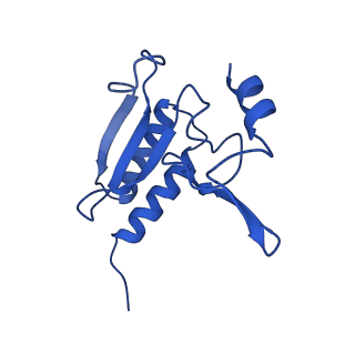 11288_6zm7_Lr_v1-1
SARS-CoV-2 Nsp1 bound to the human CCDC124-80S-EBP1 ribosome complex