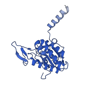 11288_6zm7_SA_v1-1
SARS-CoV-2 Nsp1 bound to the human CCDC124-80S-EBP1 ribosome complex