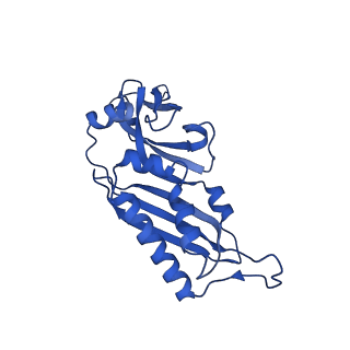 11288_6zm7_SB_v1-1
SARS-CoV-2 Nsp1 bound to the human CCDC124-80S-EBP1 ribosome complex
