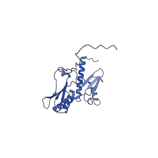11288_6zm7_SD_v1-1
SARS-CoV-2 Nsp1 bound to the human CCDC124-80S-EBP1 ribosome complex