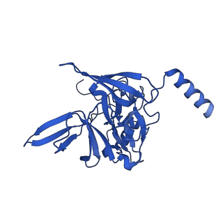 11288_6zm7_SE_v1-1
SARS-CoV-2 Nsp1 bound to the human CCDC124-80S-EBP1 ribosome complex