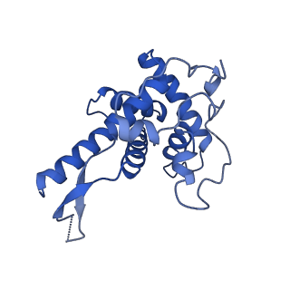 11288_6zm7_SF_v1-1
SARS-CoV-2 Nsp1 bound to the human CCDC124-80S-EBP1 ribosome complex