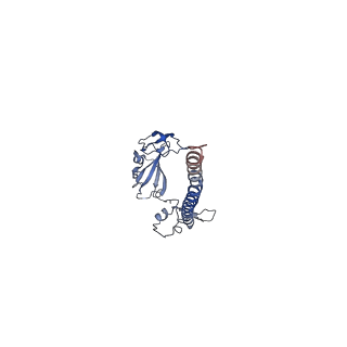 11288_6zm7_SG_v1-1
SARS-CoV-2 Nsp1 bound to the human CCDC124-80S-EBP1 ribosome complex
