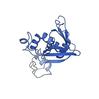 11288_6zm7_SH_v1-1
SARS-CoV-2 Nsp1 bound to the human CCDC124-80S-EBP1 ribosome complex