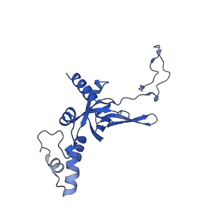 11288_6zm7_SI_v1-1
SARS-CoV-2 Nsp1 bound to the human CCDC124-80S-EBP1 ribosome complex