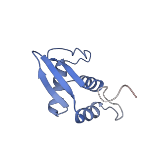 11288_6zm7_SK_v1-1
SARS-CoV-2 Nsp1 bound to the human CCDC124-80S-EBP1 ribosome complex