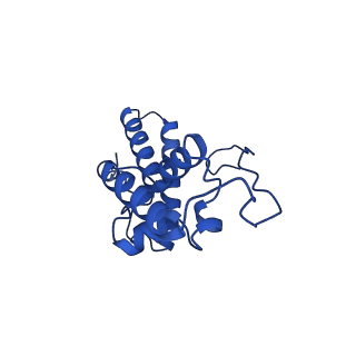 11288_6zm7_SN_v1-1
SARS-CoV-2 Nsp1 bound to the human CCDC124-80S-EBP1 ribosome complex