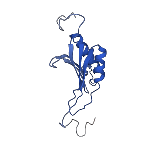 11288_6zm7_SO_v1-1
SARS-CoV-2 Nsp1 bound to the human CCDC124-80S-EBP1 ribosome complex