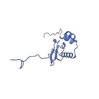11288_6zm7_SP_v1-1
SARS-CoV-2 Nsp1 bound to the human CCDC124-80S-EBP1 ribosome complex