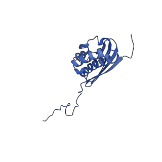 11288_6zm7_SQ_v1-1
SARS-CoV-2 Nsp1 bound to the human CCDC124-80S-EBP1 ribosome complex