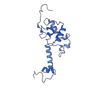 11288_6zm7_SS_v1-1
SARS-CoV-2 Nsp1 bound to the human CCDC124-80S-EBP1 ribosome complex