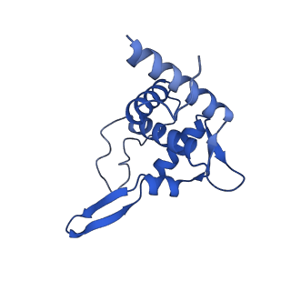 11288_6zm7_ST_v1-1
SARS-CoV-2 Nsp1 bound to the human CCDC124-80S-EBP1 ribosome complex