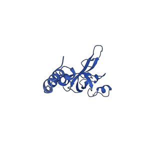 11288_6zm7_SX_v1-1
SARS-CoV-2 Nsp1 bound to the human CCDC124-80S-EBP1 ribosome complex