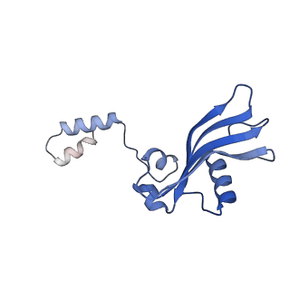 11288_6zm7_SY_v1-1
SARS-CoV-2 Nsp1 bound to the human CCDC124-80S-EBP1 ribosome complex