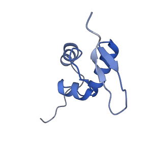 11288_6zm7_SZ_v1-1
SARS-CoV-2 Nsp1 bound to the human CCDC124-80S-EBP1 ribosome complex