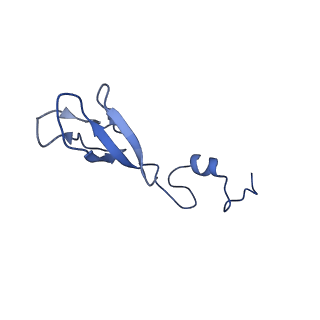 11288_6zm7_Sb_v1-1
SARS-CoV-2 Nsp1 bound to the human CCDC124-80S-EBP1 ribosome complex