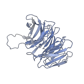 11288_6zm7_Sg_v1-1
SARS-CoV-2 Nsp1 bound to the human CCDC124-80S-EBP1 ribosome complex