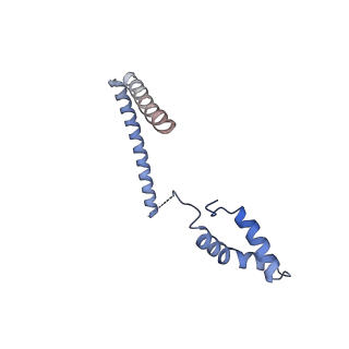 11289_6zme_CE_v1-1
SARS-CoV-2 Nsp1 bound to the human CCDC124-80S-eERF1 ribosome complex