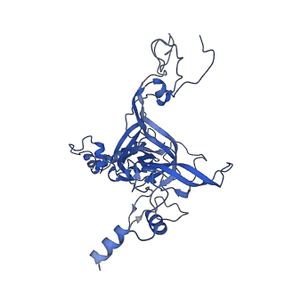 11289_6zme_LB_v1-1
SARS-CoV-2 Nsp1 bound to the human CCDC124-80S-eERF1 ribosome complex